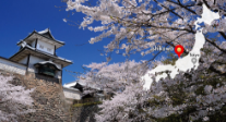 Ishikawa