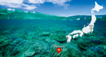 Okinawa